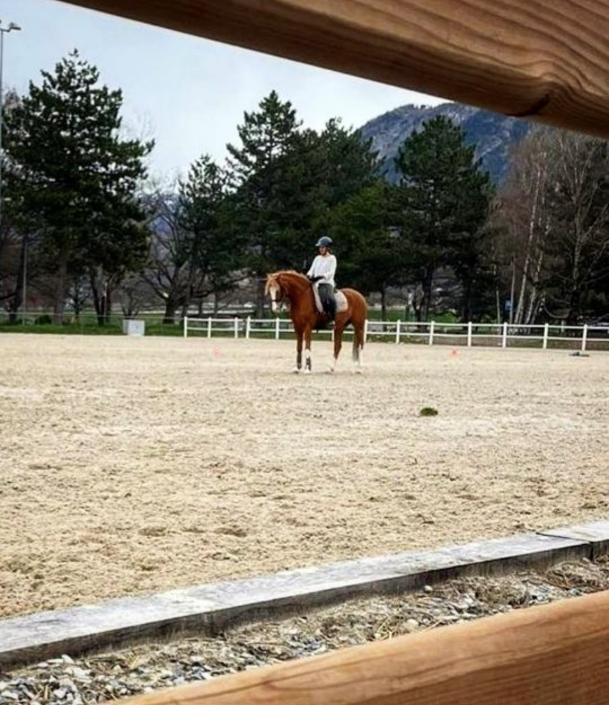 Cours_dressage_17mars