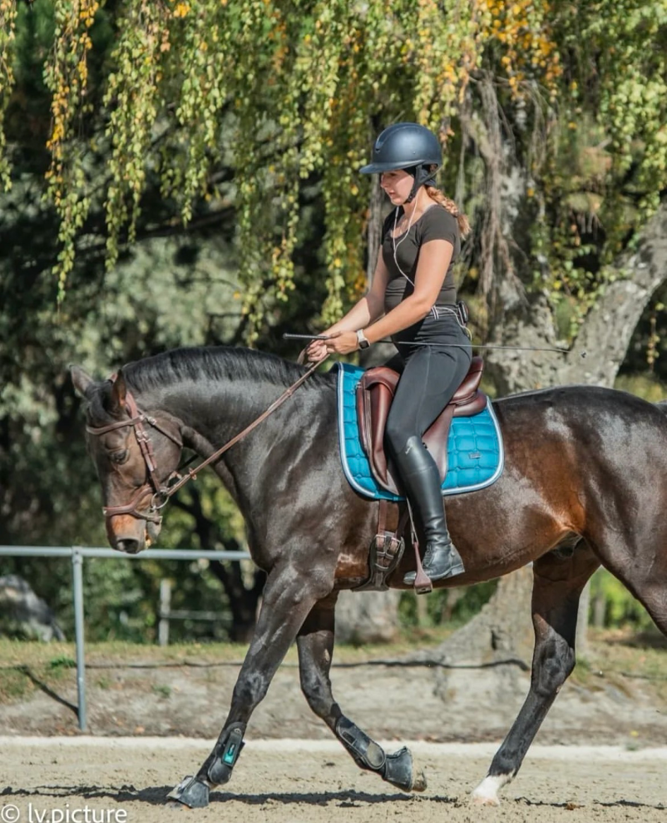 coursdressage13octobre