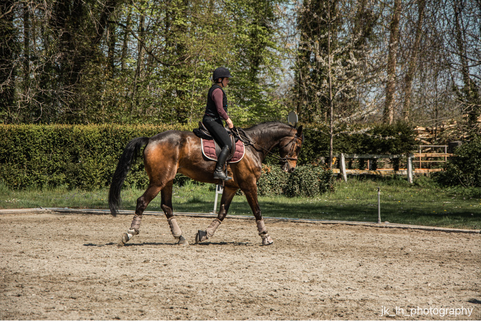 Cours Lucie Moreillon