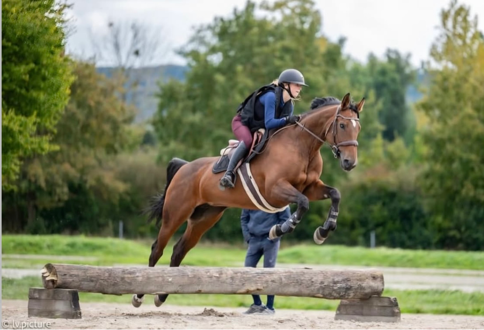 Sortie_military-Avenches